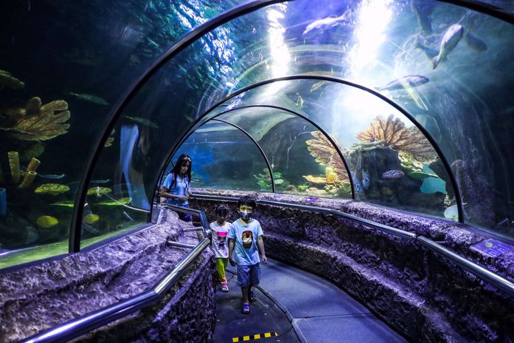 Pengunjung mencoba wahana permainan saat berwisata di Seaworld di Ancol Taman Impian, Jakarta Utara, Sabtu (20/6/2020). Tempat ini adalah salah satu tempat wisata indoor di Jakarta.