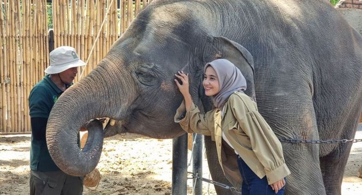 Promo Pilkada di Solo Safari, Ini Syarat dan Ketentuannya