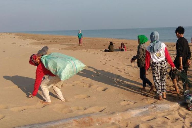 Aksi bersih di pantai Sungai Belacan yang merupakan salah satu titik monitoring sarang peneluran penyu di Dusun Ciremai, Desa Sebubus, Kecamatan Paloh, Kabupaten Sambas, Kalimantan Barat