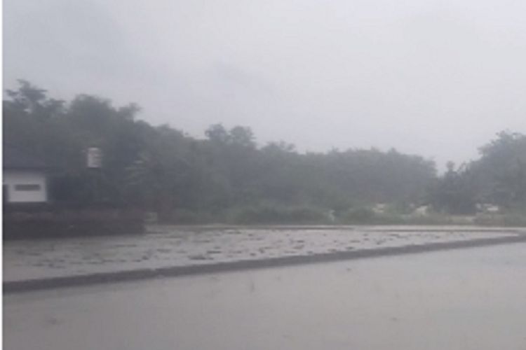 Hujan deras yang mengguyur Kabupaten Ngawi, Jawa Timur membuat aliran Bengawan Solo meluap. Selain 3 rumah warga, luapan aliran Bengawan Solo juga merendam lebih dari 30 hektar tanaman padi siap panen milik petani di 3 Desa di Kecamatan Mantingan.