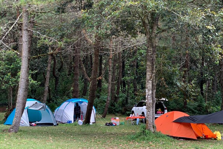 Kawasan camping di Jungle Milk Lembang