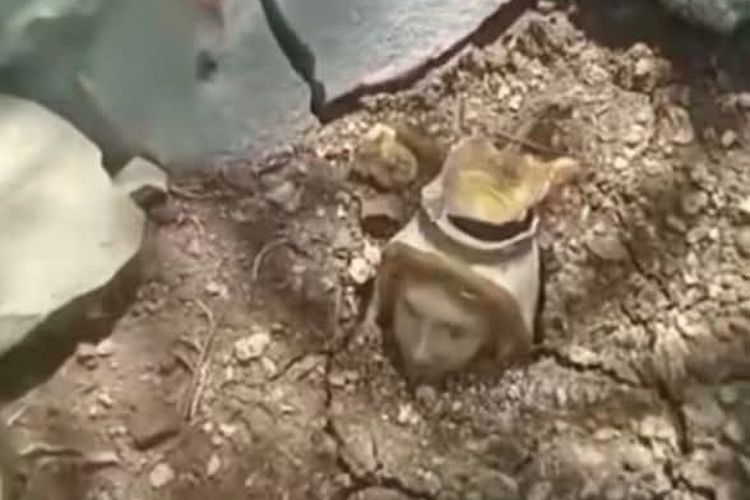 Viral Warga di Manggarai Barat NTT Kubur Patung Bunda Maria, Ini Penjelasan Keuskupan Labuan Bajo
