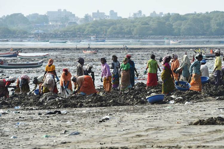 Para relawan bersama-sama memungut sampah plastik dari pantai Versova di Mumbai, India. Tak jarang sampah plastik sudah tertimbun di bawah pasir pantai.