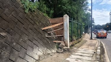 Pramono Minta Satpol PP Tindak Dugaan Asusila di Hutan Kota Cawang