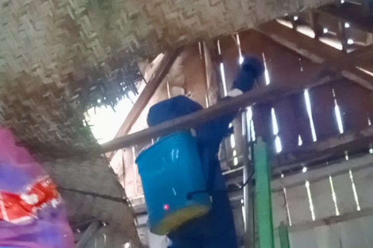 Foto: Damkar Situbondo Jawa Timur saat evakuasi sarang tawon vespa.