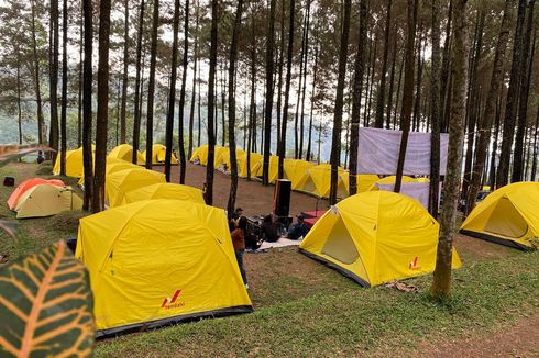 5 Tempat Camping di Mojokerto, Pemandangan Hutan Pinus dan Air Terjun