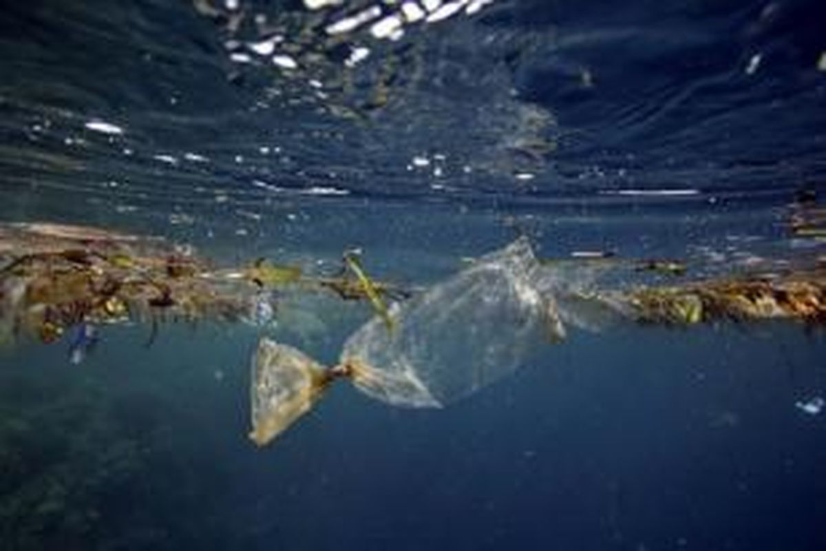 Sampah plastik di lautan. Ilmuwan menyatakan bahwa 99 persen plastik m ikroskopik di lautan hilang, kemungkinan dimakan hewan. 