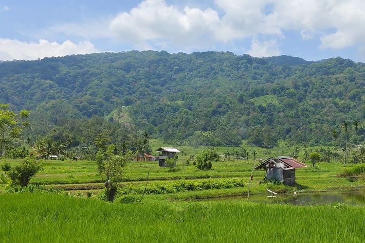 Pemandangan alam di sekitar Desa Wisata Koto Kaciak, Kecamatan Tanjung Raya, Kabupaten Agam, Sumatera Barat, Minggu (14/4/2024). 
