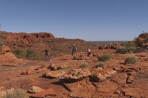 Gara-gara Tripod Kamera, Pria di Australia Tewas Tersambar Petir