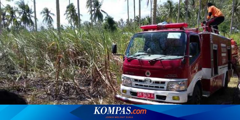 6 Daftar Daerah Penghasil Tebu di Indonesia, Jawa Timur Penghasil Tebu