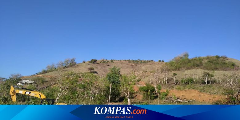 Reforma Agraria 9 Juta Hektar Dinilai Lambat, Ternyata Ini Sebabnya - Vimarsana News