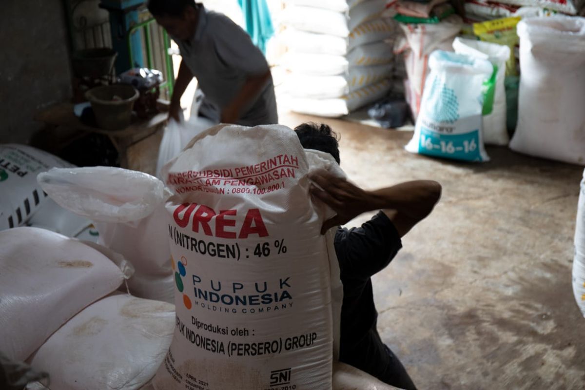 Ilustrasi pupuk bersubsidi dari pemerintah Republik Indonesia