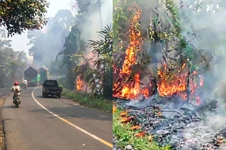 Hutan TN Bukit Barisan Selatan di Jalur Lampung-Bengkulu Terbakar, 3 Hektare Ludes