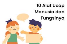 10 Alat Ucap Manusia dan Fungsinya