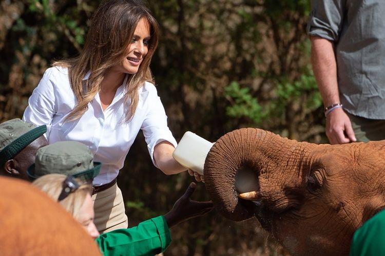 Ibu Negara AS, Melania Trump memberi minum susu seekor anak gajah saat berkunjung ke Kenya, Jumat (5/10/2018).