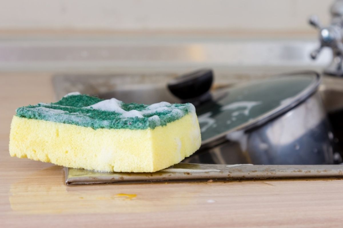 Spons Dapur Ternyata Jadi Sarang Bakteri, Ini Penyebab dan Cara Mencegahnya