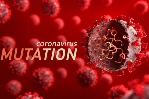Kemenkes: Varian Virus Corona N439K Terdeteksi di Indonesia Sejak November 2020