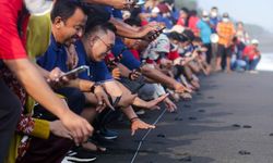 Peduli Lingkungan, Elnusa Petrofin Gelar Pelepasan Penyu hingga Aksi Bersih Pantai di Goa Cemara