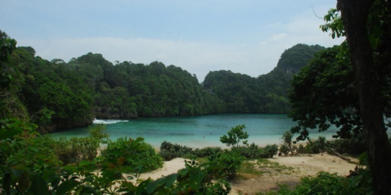 Segara Anakan di Kawasan Cagar Alam Pulau Sempu. Cagar Alam Pulau Sempu berada di bawah koordinasi Balai Besar Konservasi Sumber Daya Alam Jawa Timur.