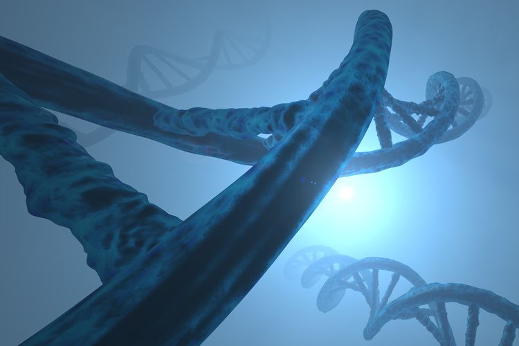 Ilustrasi DNA yang merupakan salah satu biomolekul