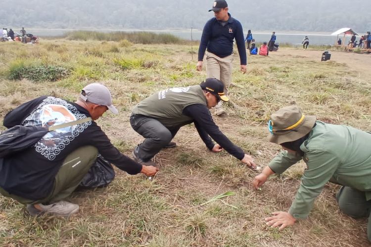 Karhutla di Jatim Tak Kunjung Usai, Kepala BBKSDA: Capek Ini, Saya Sudah 