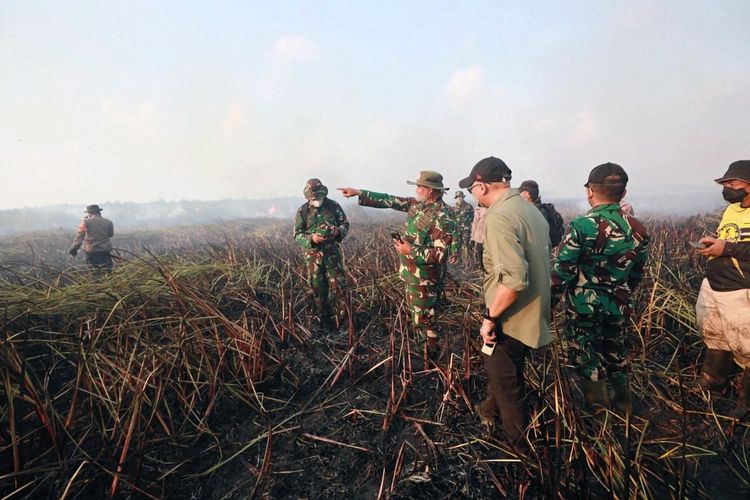 Karhutla TN Way Kambas Belum Sepenuhnya Padam, Tim Gabungan Sisir Bara dan Pastikan Gajah Aman