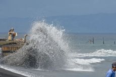 Buaya Nyasar ke Sawah Bekasi Bikin Damkar Kewalahan Saat Evakuasi