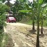 jalan Mirip Kubangan Kerbau, Warga Polman Tanam Pisang