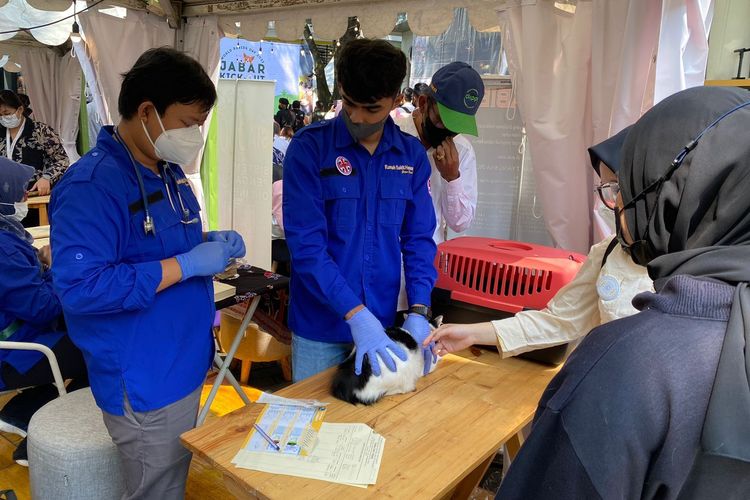 Royal Canin Indonesia dan Zoetis Indonesia Mendukung Program ?Rabies: One Health, Zero Death? dengan Donasi 10.000 Dosis Vaksin Rabies dan Webinar Edukasi?
 