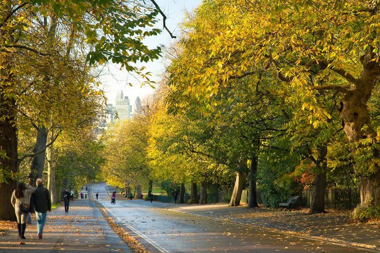 Greenwich Park, London, Inggris DOK. The Roral Parks