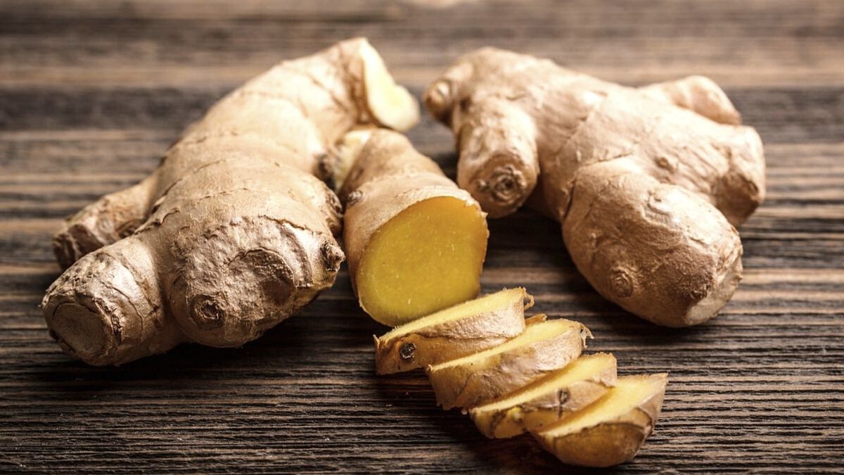 Rhizoma: Pengertian dan Contoh Tumbuhannya