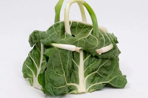 Intip Tas Hermes Birkin dari Bahan Sayuran