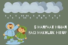 5 Manfaat Hujan bagi Makhluk Hidup