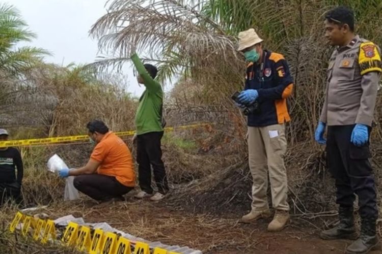 Petugas Kepolisian melakukan olah TKP di lokasi penemuan kerangka manusia di lahan sawit Kecamatan Tambang Ulang, Tanah Laut Kalsel