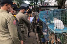 Tak Ada Regulasi, Pemkot Malang Hanya Beri Imbauan kepada Pedagang Hewan di Pasar Splendid