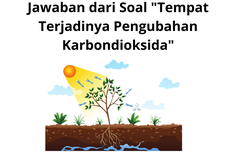 Jawaban dari Soal "Tempat Terjadinya Pengubahan Karbondioksida"