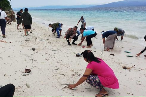 Geger, Ikan Berbagai Jenis Terdampar di Pantai Maluku Tengah