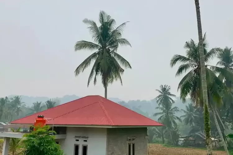 Kabut Asap Masuk Sumbar, Diduga Berasal dari Jambi, Sumsel, dan Lampung