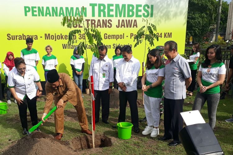 Penanaman pohon Trembesi simbolis di alun-alun Sidoarjo, Rabu (5/12/2018)