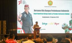 Pemda hingga DPRD di Kalsel Didorong untuk Tingkatkan Pengembangan Kelapa Sawit