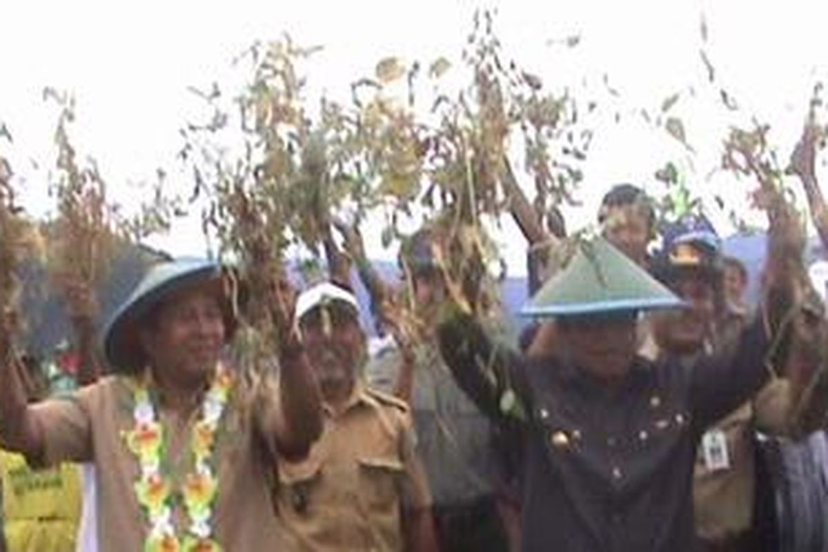 Gubernur Papua Barat, Abraham O Aturuy bersama para petani kedelai di Distrik Sidey, Kabupaten Manokwari, menggelar panen raya kedelai, Sabtu (28/7)