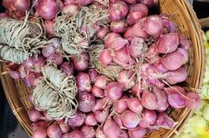 5 Varietas Bawang Merah Unggulan Indonesia, Apa Saja?