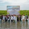 41.000 Hektar Lahan Mangrove Bakal Direvitalisasi hingga Tahun 2027