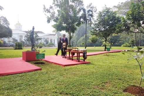 Jokowi dan Ramos Horta Tanam Pohon Gaharu di Istana Bogor