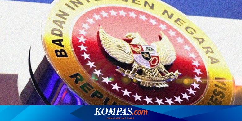Fungsi Badan Intelijen Negara