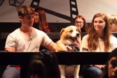 Bioskop Ini Izinkan Pengunjung Bawa Anjing Peliharaan saat Menonton