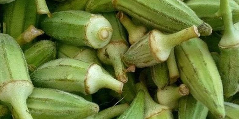 Mengenal 5 Manfaat Okra Bagi Kesehatan Halaman All Kompas 