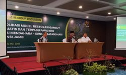 Pastikan Restorasi Gambut Terus Berlanjut, Pemerintah Jambi Dukung BRGM Melalui Pilot Model Restorasi Ekosistem Gambut