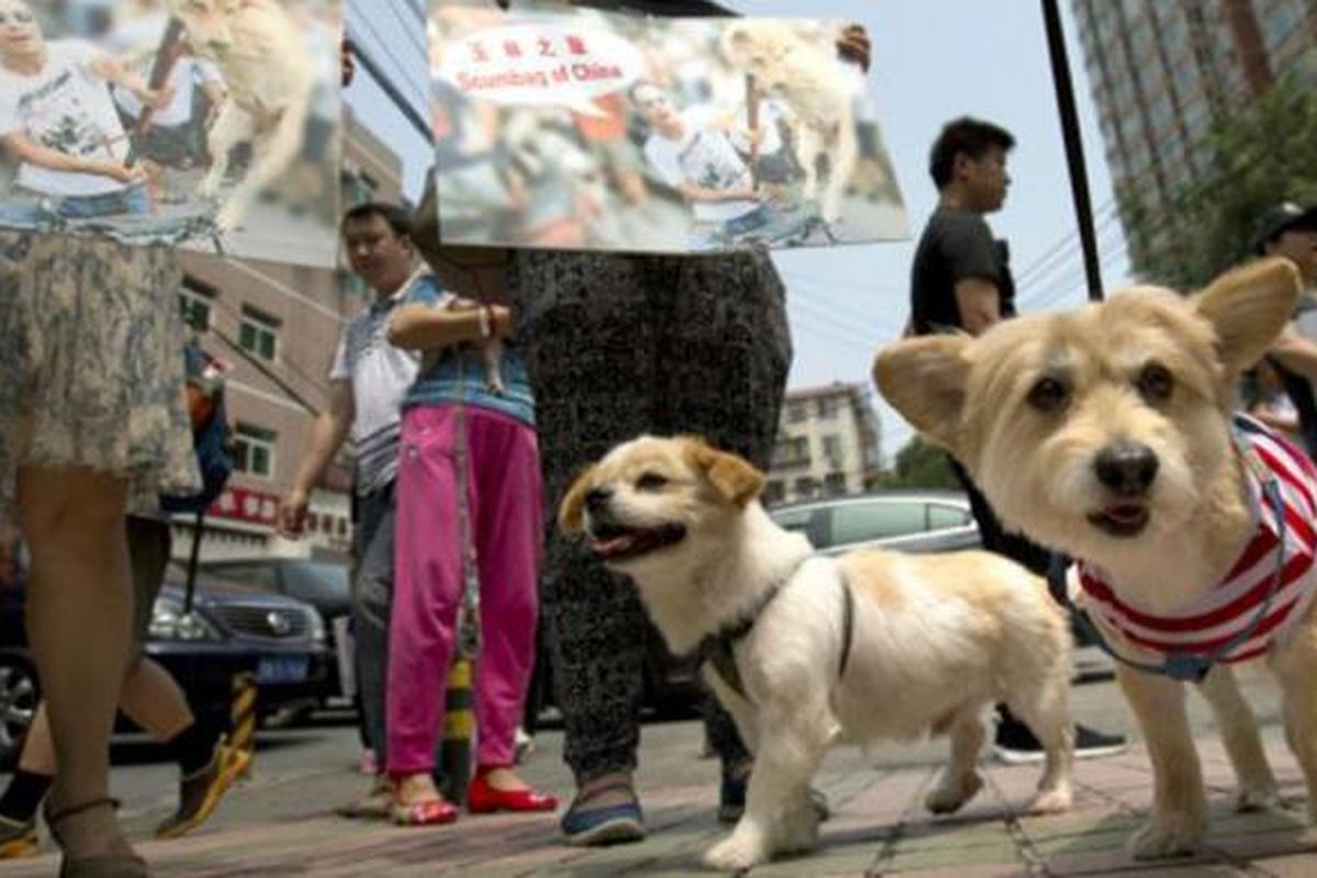 Para aktivis membawa serta anjing peliharaan mereka, menginginkan diakhirinya konsumsi daging anjing. 