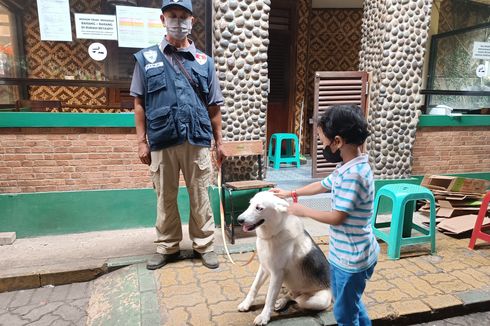 Ketika Anjing Penjaga Misa Gereja Kampung Sawah Jadi Hiburan Bagi Anak-anak